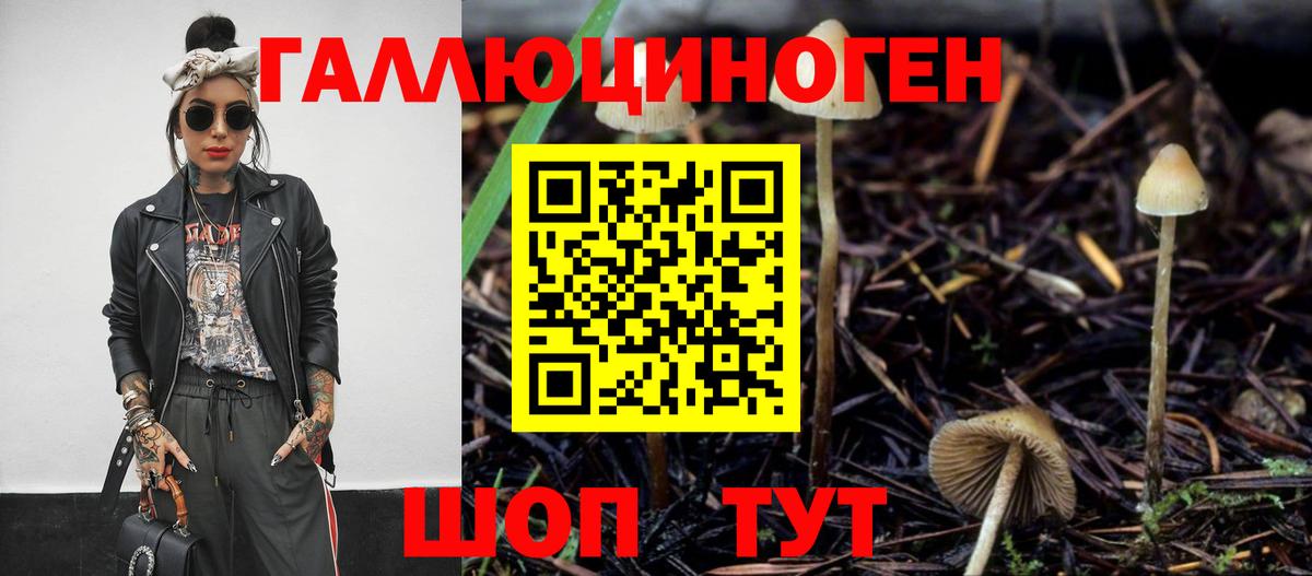 Кандалакша  Псилоцибиновые грибы Cubensis  Вход с VPN  Галлюциногенные грибы Psilocybine cubensis 